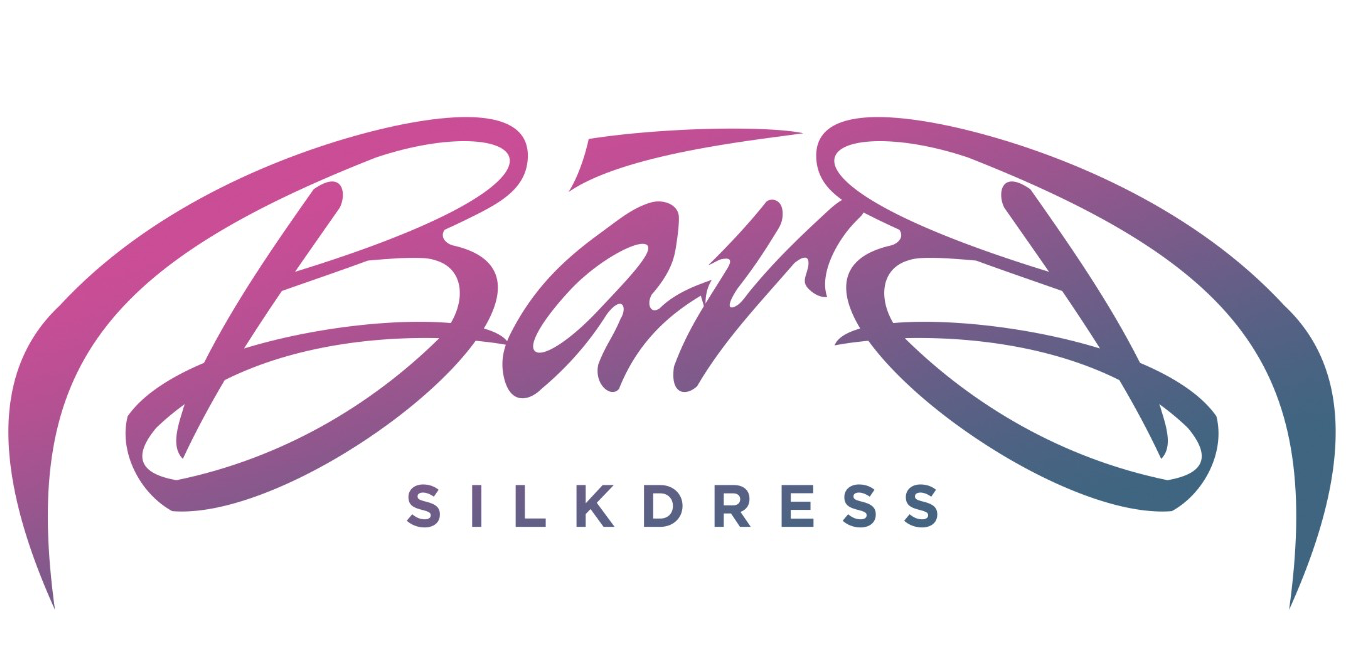 Barb Silk Dress